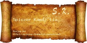 Spiczer Kamélia névjegykártya